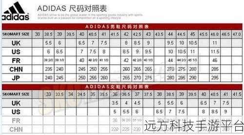 三叶草欧码和亚码入口:1. 三叶草欧码亚码解析:了解鞋子尺码选择