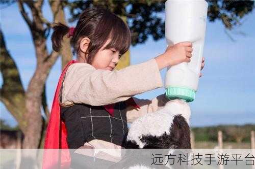 温馨启程,探索我想回家最新版,解锁休闲益智新乐趣