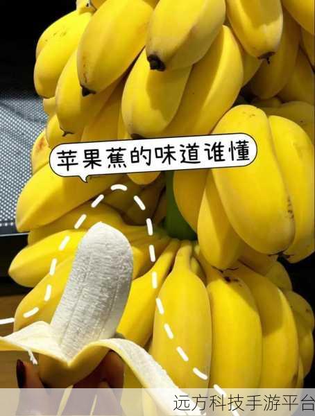 18香蕉视频:1. 18香蕉视频:探索成人娱乐的新潮流