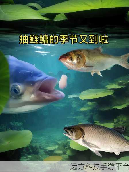 动物钓鱼王红包版,休闲垂钓也能赚外快的奇妙之旅