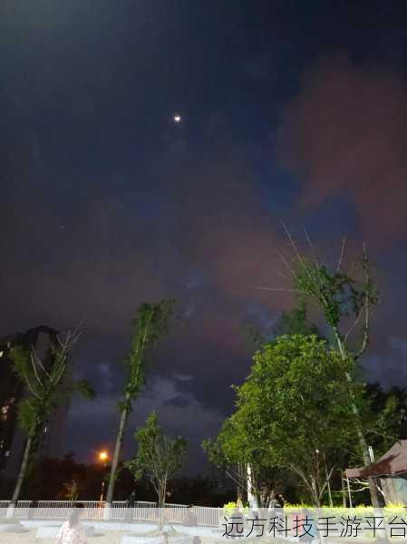 夜晚玩耍生活:1. 夜幕降临,星空下的童趣与探索