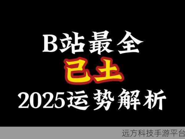 b站推广网站2025mmm
