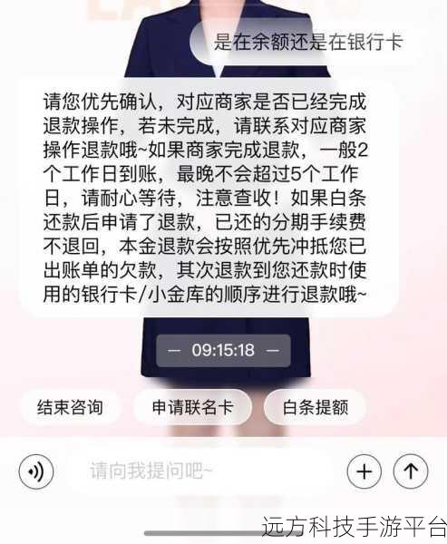 解锁京东白条还款的多样秘籍,轻松无压力