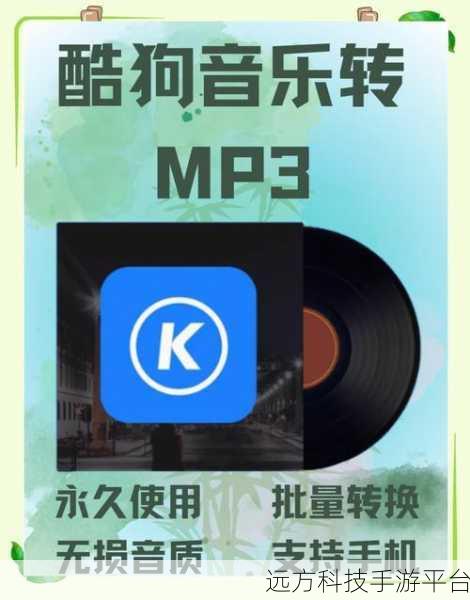 轻松搞定酷狗音乐大字版退出登录，看这里！