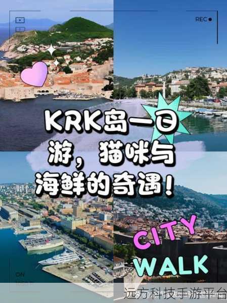 猫咪岛大合战,日式卡牌与模拟经营的休闲盛宴