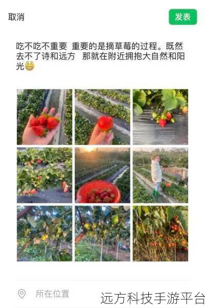 草莓视频老版本：1. 草莓视频经典版：重温那些年的精彩瞬间