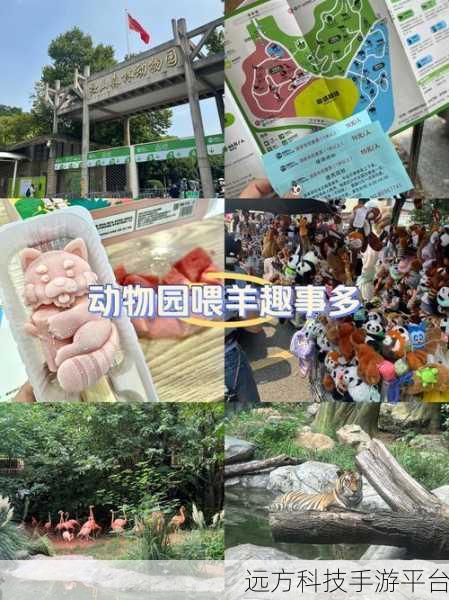 开心动物园红包版,萌宠经营,益智休闲新选择