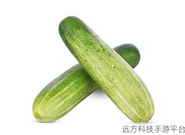 黄瓜91ios轻量版：1. 黄瓜91轻量版：极简生活的智能选择