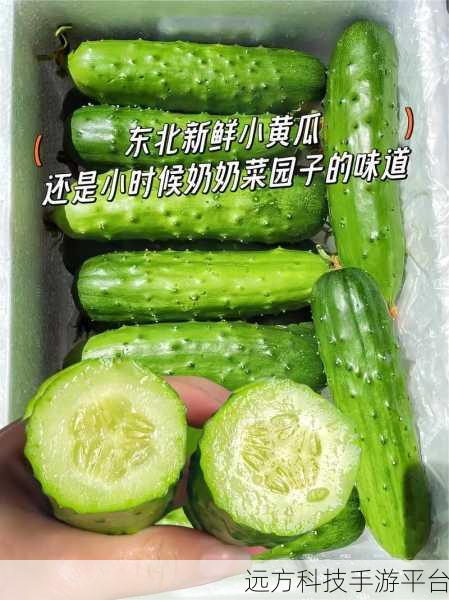 黄瓜91ios轻量版:1. 黄瓜91轻量版:极简生活的智能选择