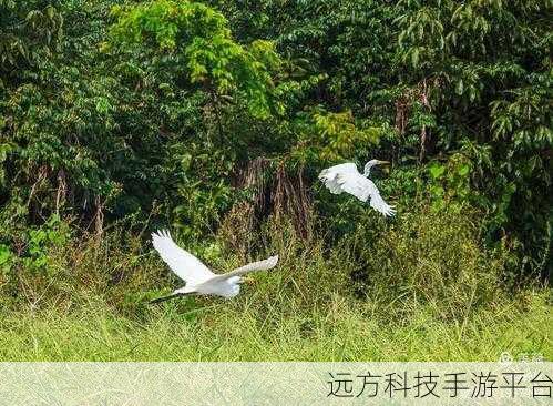 巴西公路之旅，挑战极限的巴士驾驶模拟游戏来袭