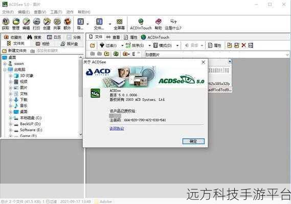 掌握 ACDSee 预览窗口大小设置，轻松优化看图体验
