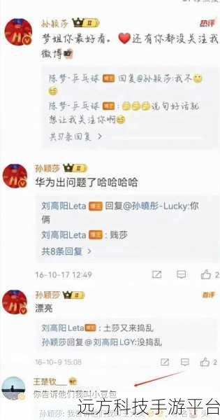 王楚钦孙颖莎微博互相没关注