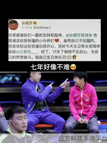 王楚钦孙颖莎微博互相没关注