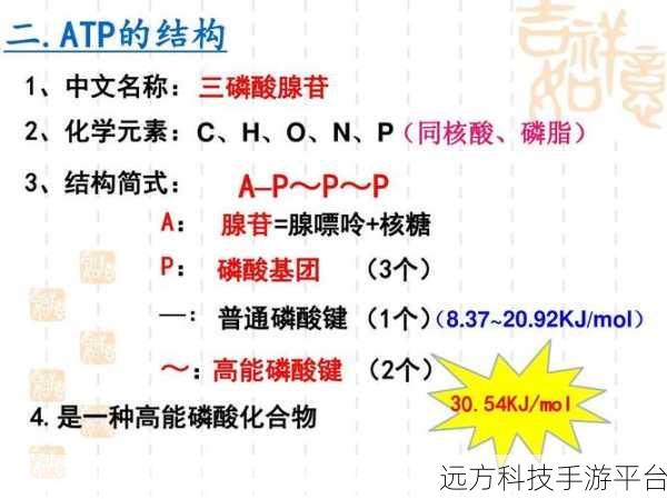 药效h1v2:1. 药效H1V2的创新应用研究与展望