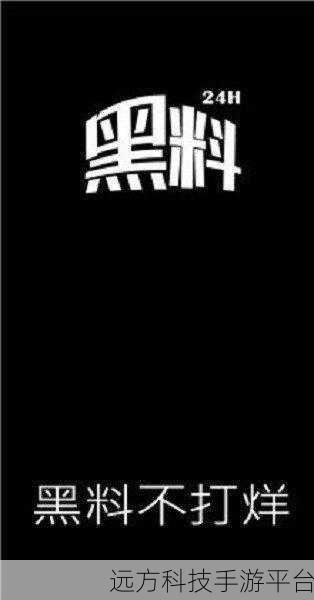 155黑料布打样：1. 155黑料布：探索时尚新材质的无限可能