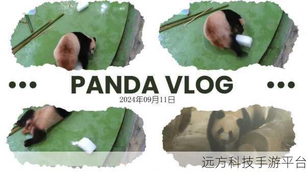 暴怒熊猫安卓版来袭，萌趣射击乐翻天！