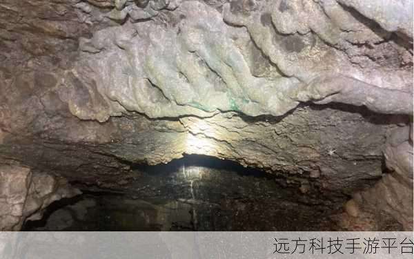 深度剖析,错误背后的神秘面纱究竟为何