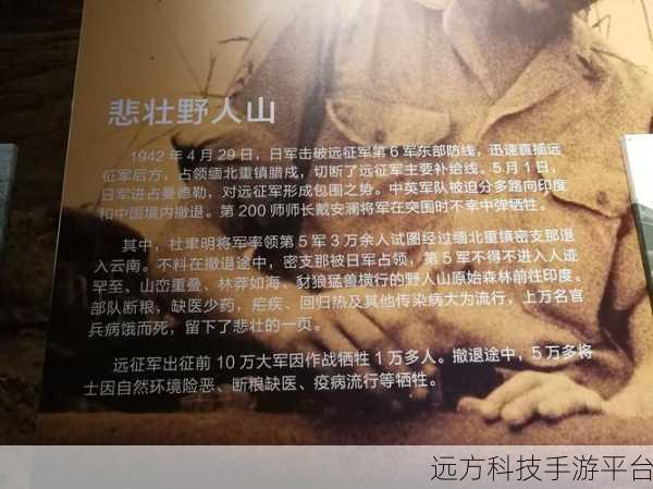 战歌远征军军需官在哪里:1. 战歌远征军的军需官角色与职责解析