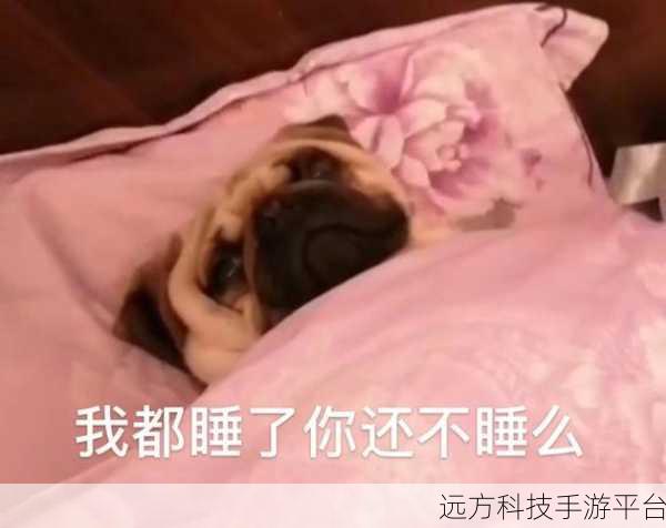 皮皮搞笑私信记录删除秘籍大公开