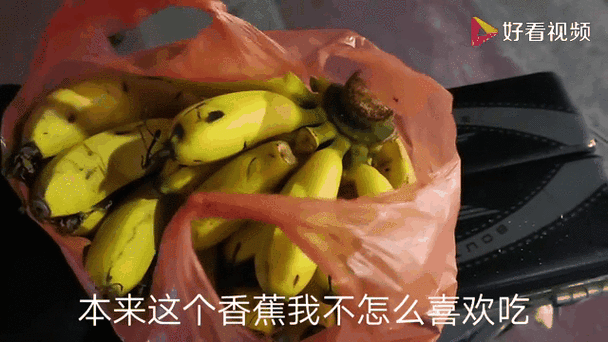 香蕉视频pp:1. 香蕉视频:畅享精彩生活的无限可能