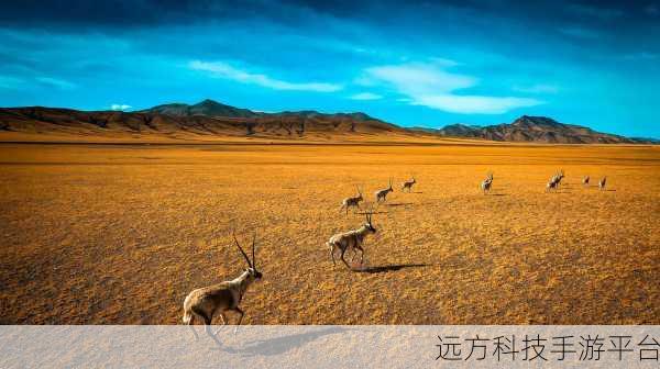 亚洲无人区1卡2卡:1. 深入探索亚洲无人区的神秘与壮丽