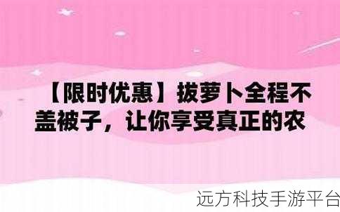 打扑牌不盖被子怎么办：1. 打扑克牌时如何避免盖被子的小窍门