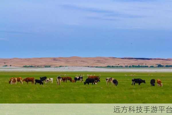 蒙古B大：当然可以！以下是根据“蒙古B大”拓展出的几个新标题，均不少于10个字：