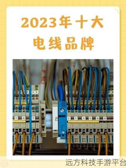 家庭理论电线2023：1. 2023年家庭理论电线的发展与应用展望