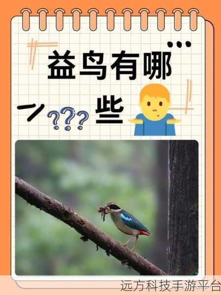 328大但人文艺术:当然可以!以下是一些基于328大但人文艺术的标题建议,每个标题都不少于10个字: