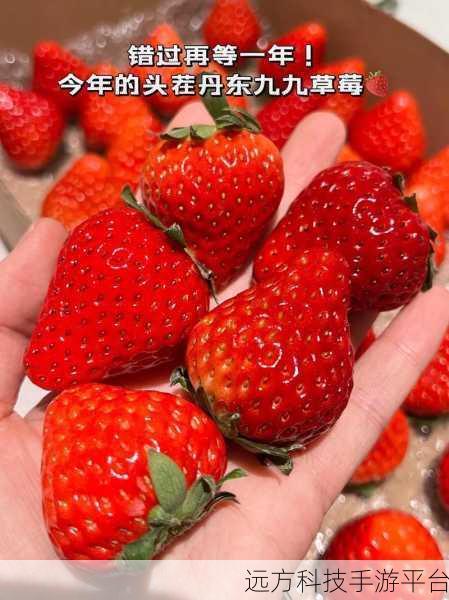 草莓妞视频麻豆视频:1. 草莓妞的甜蜜日常:生活中的小确幸