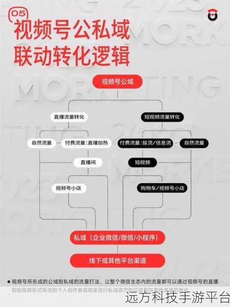 深度剖析视频号背后鲜为人知的逻辑密码