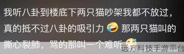 911吃瓜八卦有理爆料无罪:1. 911事件背后的真相揭秘:吃瓜群众的八卦故事