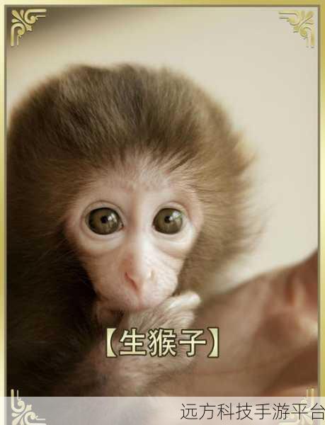 女生与男生勇力生猴子:1. 从勇力生猴子看男女关系的深度解析