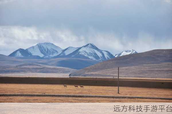 无人区编码6229JMvip:1. 探索无人区的神秘与魅力:6229JMvip之旅