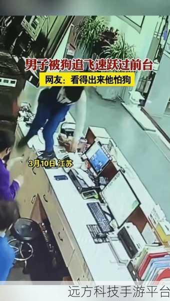 进击的单身狗，搞笑敏捷新风尚，挑战你的反应极限