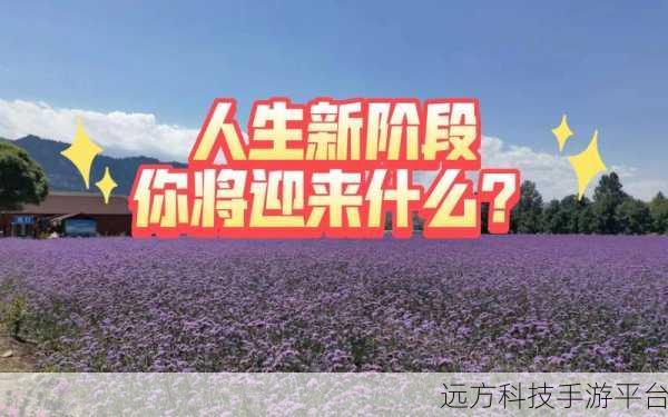 55岁真人实战:1. 55岁人生新阶段:拓展自我,实现梦想