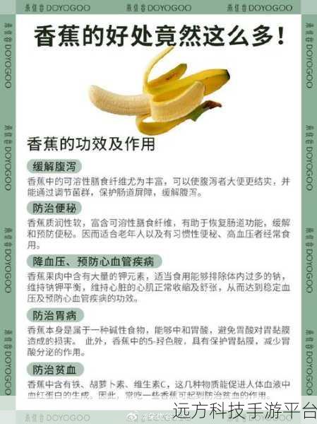 香蕉频蕉:1. 香蕉的营养价值与健康益处全解析
