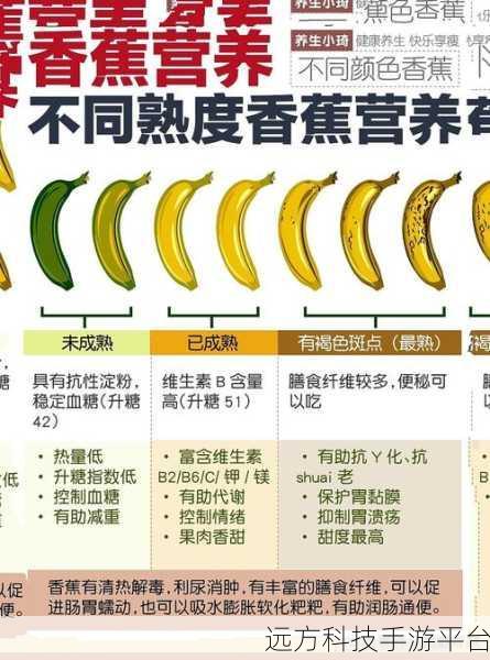 香蕉频蕉:1. 香蕉的营养价值与健康益处全解析