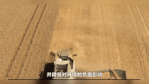 大豆行情网仙林:1. 大豆市场动态分析与投资策略探讨