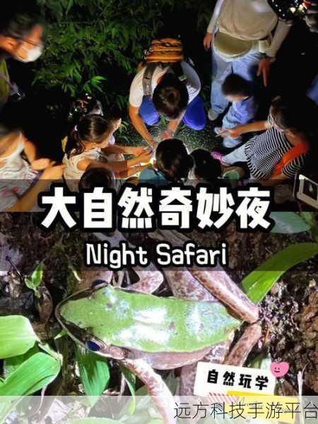 夜里禁止看的十大黄台免费：1. 夜幕降临，探索禁忌之地的冒险旅程
