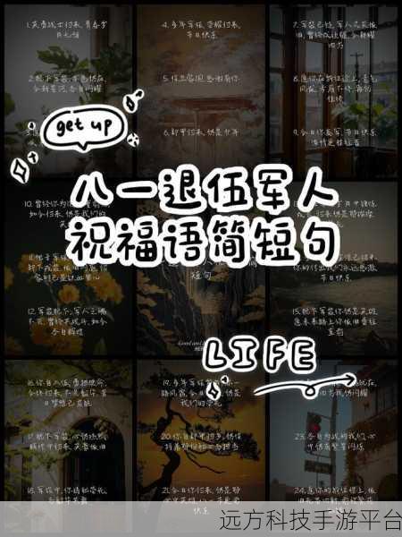 老兵召回:1. 老兵召回:重温青春岁月的感人故事