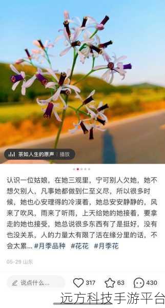 蜜芽永不失联首页:1. 蜜芽永不失联:连接你我,共享美好生活