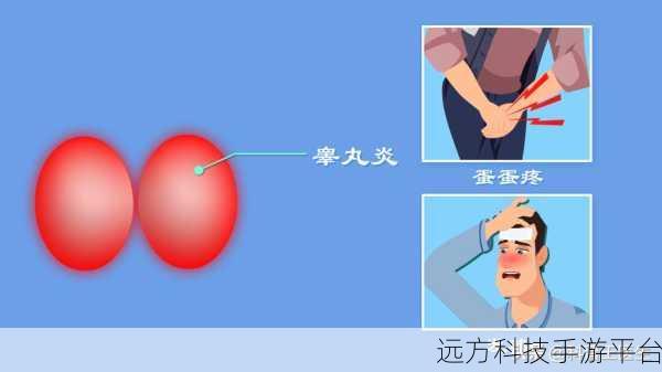 但是睾丸被注入了高浓缩药剂:1. 睾丸注入高浓缩药剂的医学探讨