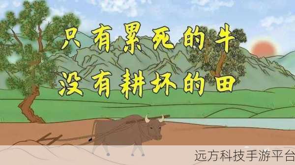 耕了母亲荒废土地:1. 重耕母亲的荒地,唤醒生命的新希望