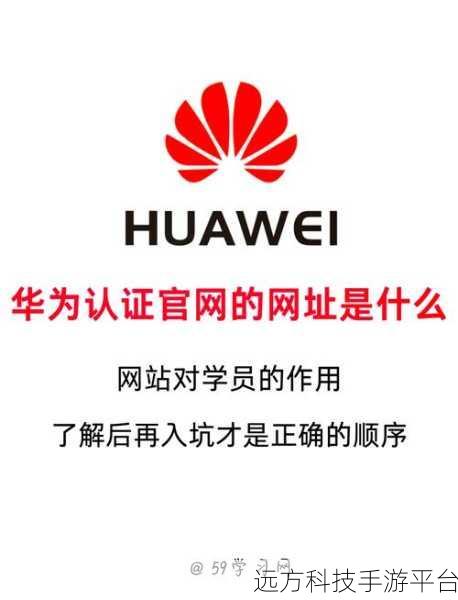 海外华为永久免费观看：1. 海外华为：全球化视野下的创新之路