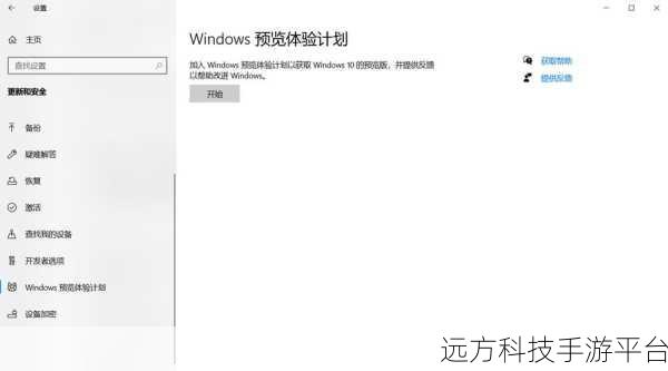 Win11 预览版推送！轻松更新秘籍在此