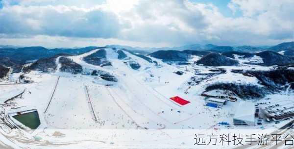 山坡滑雪与2D跑酷激情碰撞,下载新游畅享极速乐趣!