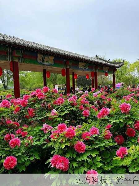 亭亭玉立国色天香四月天：1. 灼灼其华，四月春风满园香