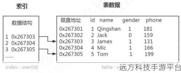 深入探秘数据库索引，提速查询的神秘力量