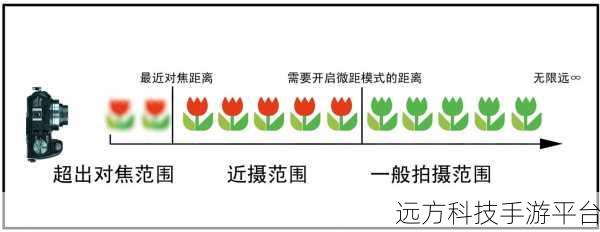 蜂鸟团队能否提前下线?深度剖析与探讨